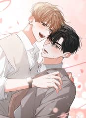 visual_w720