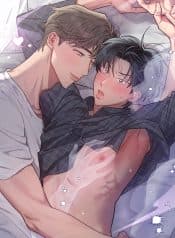 cover_w480