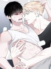 visual_w720
