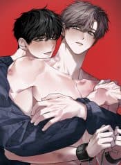 visual_w720