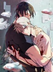 visual_w720