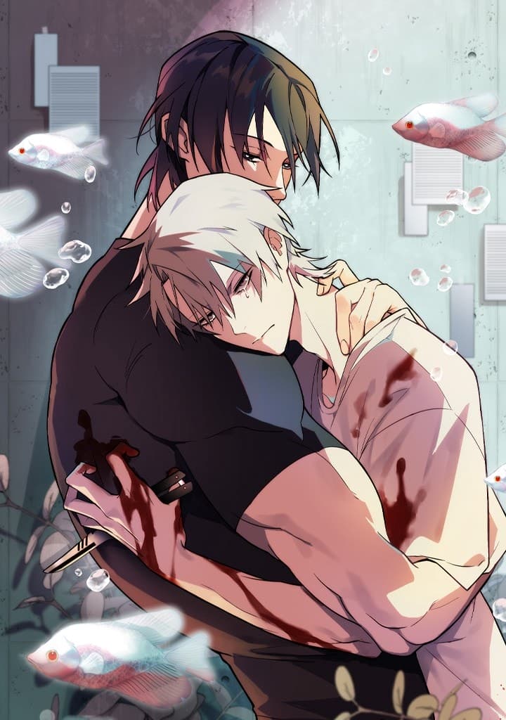 visual_w720